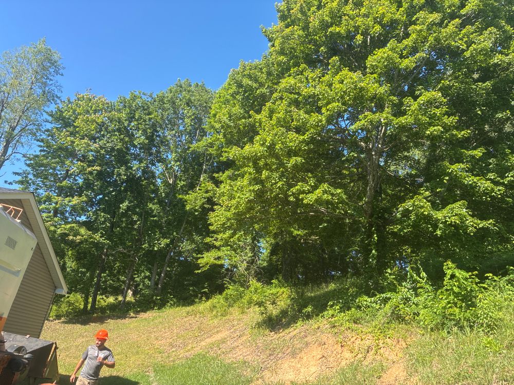 All Photos for Skys The Limit Tree Management in Morehead, KY