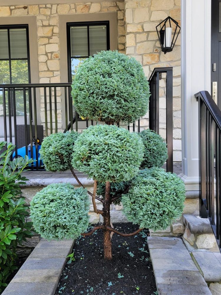 All Photos for Elegant Lawns & Landscaping in Inwood, NY