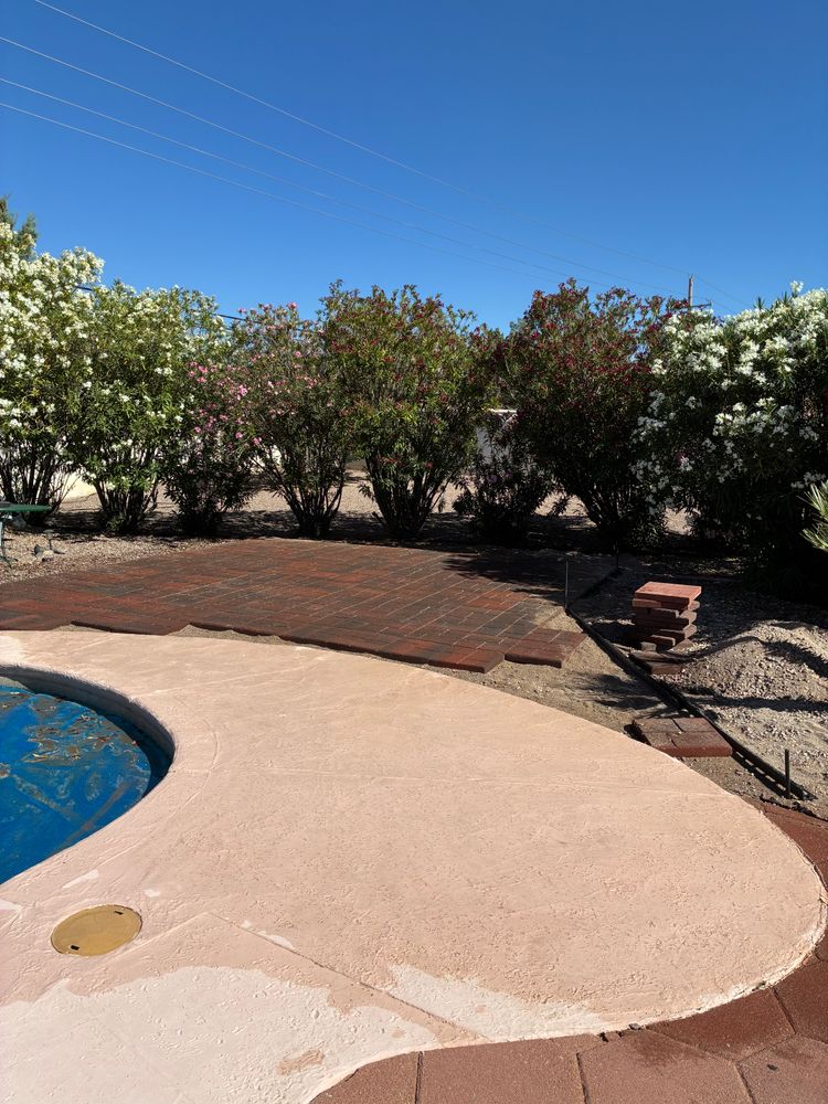All Photos for Borquez Desert Roots LLC in Sierra Vista, AZ