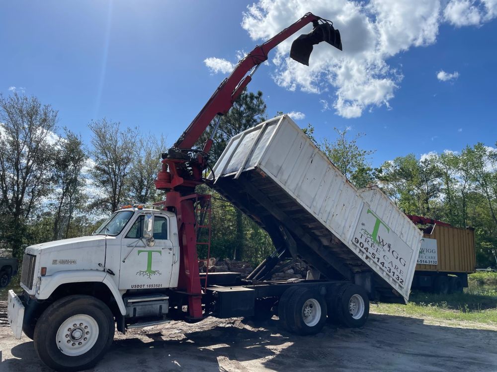 All Photos for M & J Tree Service & Stump Grinding in Auburn, GA