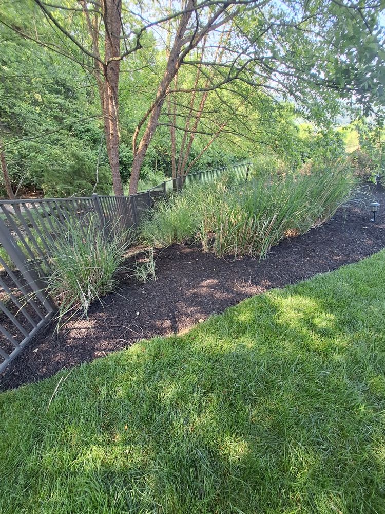 All Photos for Cincinnati’s Finest Landscape Services LLC in Cincinnati, OH
