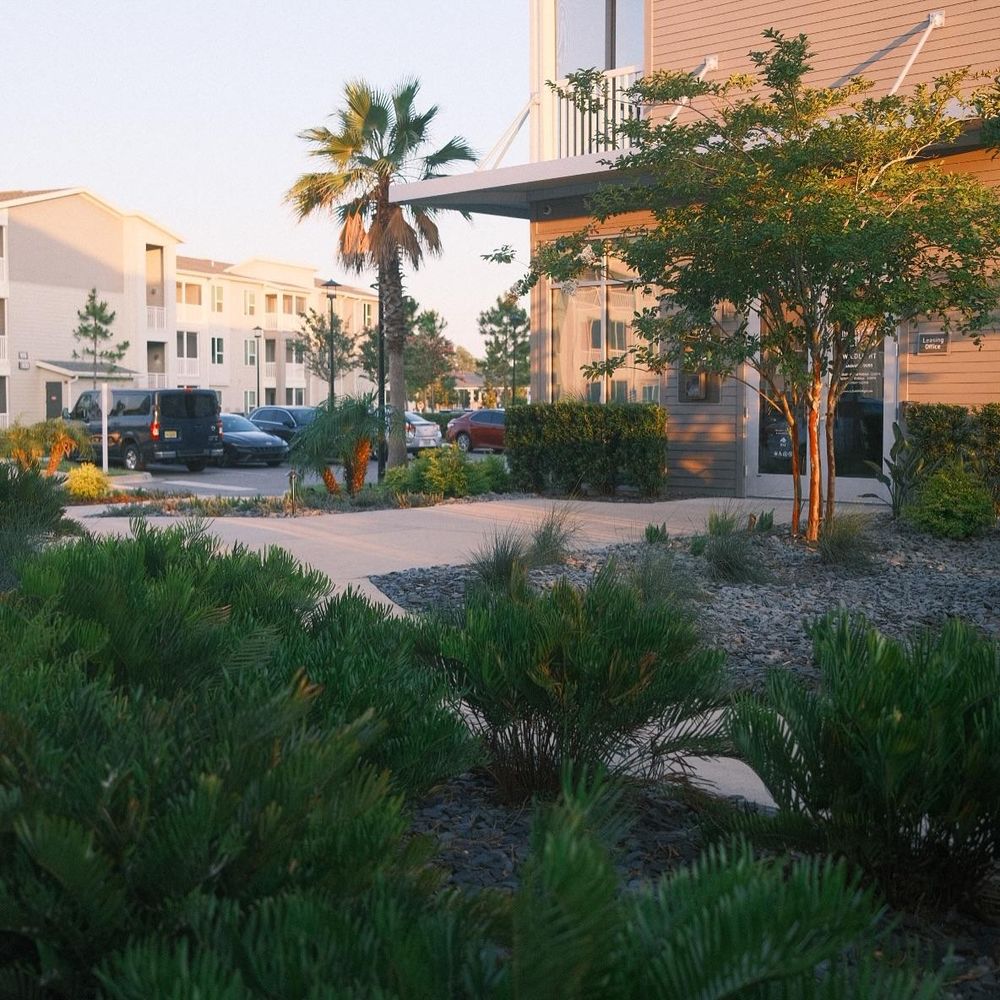All Photos for Pro Designs Landscaping in Jacksonville, FL