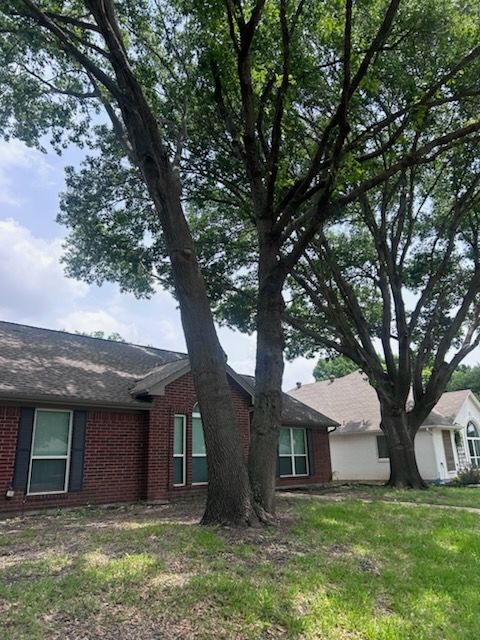 All Photos for Twin Oak Solutions in Carrollton, TX