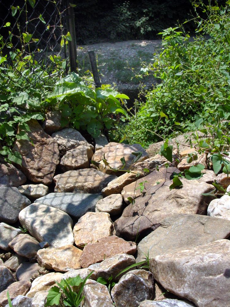 All Photos for M&M Professional Landscaping in Sterling, VA