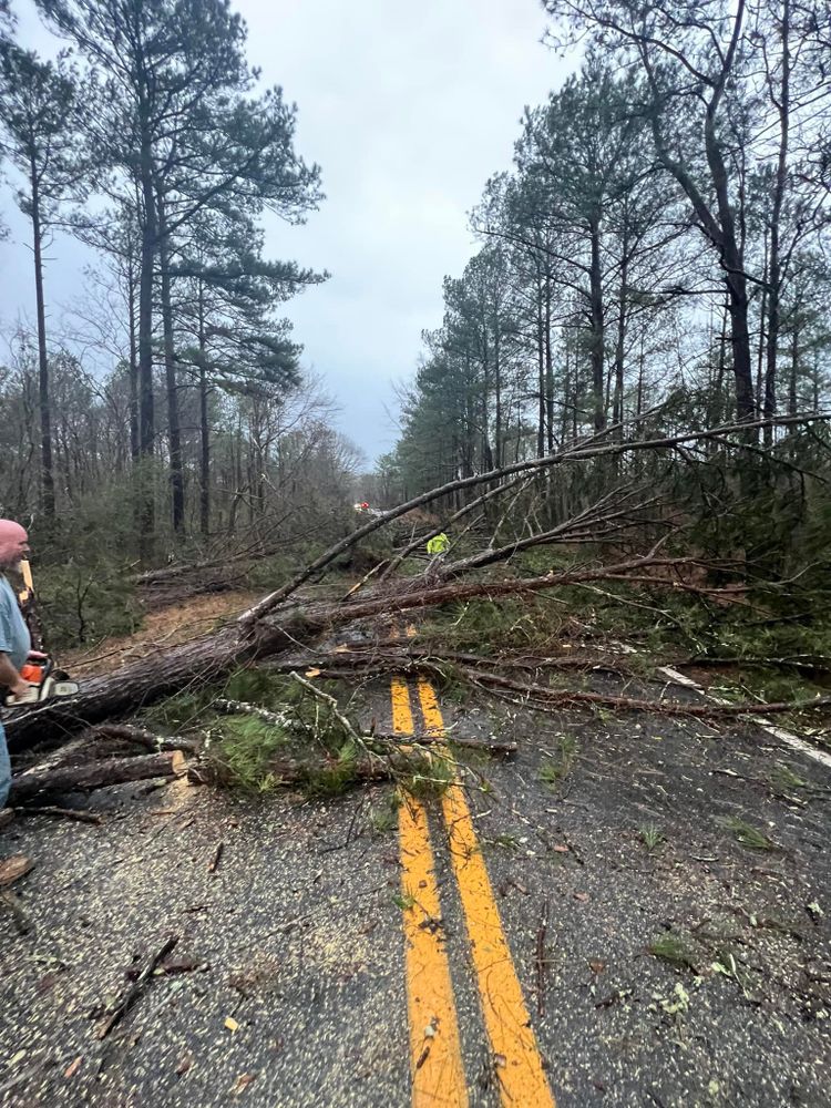 Our Forestry Mulching service efficiently clears and maintains land by grinding up trees and brush, turning them into nutrient-rich mulch. This eco-friendly process enhances your property's appeal while preserving the soil's health. for ADP Enterprises LLC in Griffin, GA