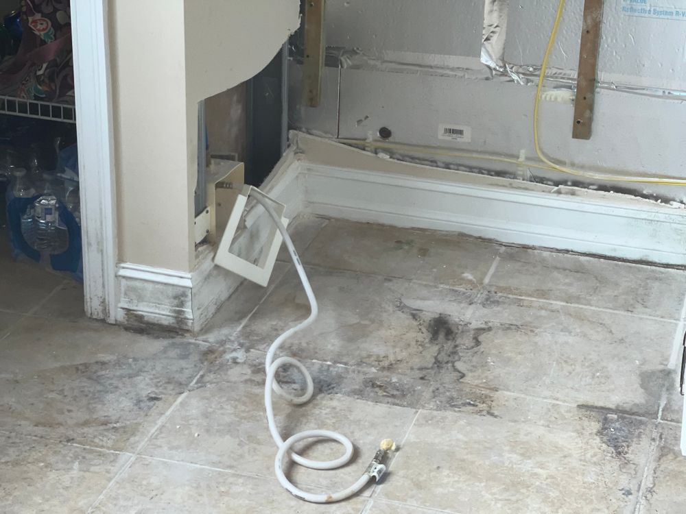 Mold Remediation for N&D Restoration Services When Disaster Attacks, We Come In in Cape Coral,  FL