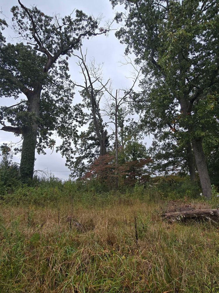 All Photos for M&L Lumber and Excavating in Jonesborough, TN