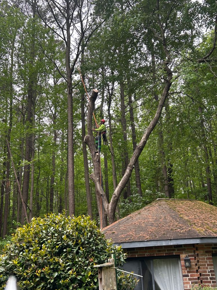 All Photos for The Whole 9 Yards Landscape VA in Heathsville, VA