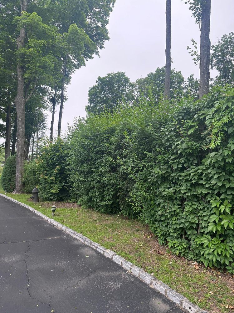 All Photos for Guaman’s Landscaping in Waterbury, CT