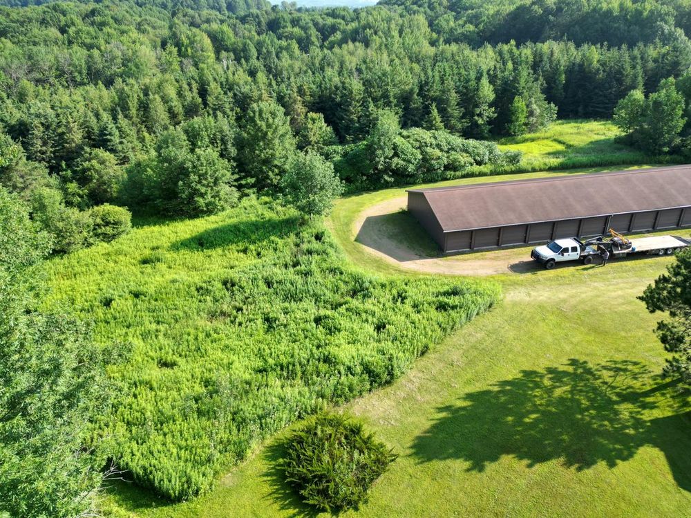 Land Clearing for Brush Busters in Wausau, WI