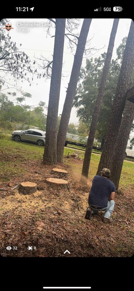 All Photos for Morace Tree Service in Natchez,,  MS