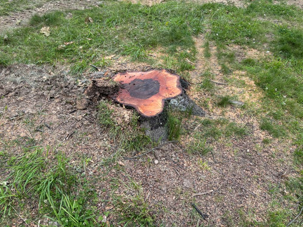All Photos for Conrad's Stump Removal in Columbus, IN