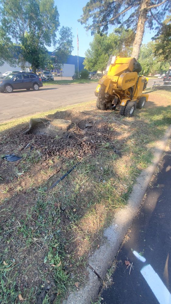 All Photos for American Outdoor Services & Stump Grinding in Maple Grove, MN