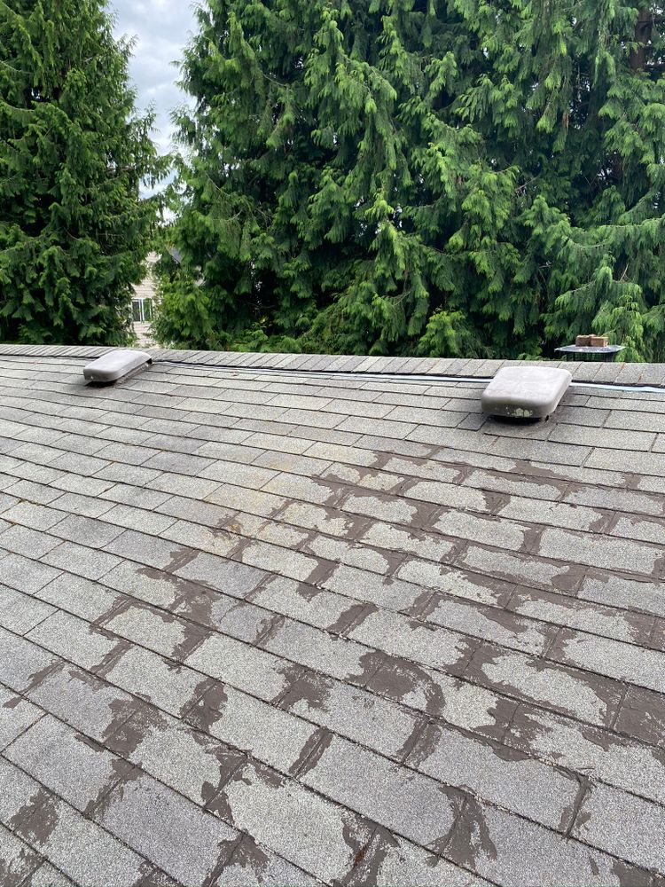 All Photos for Tony's Remodeling & Painting in Renton, WA