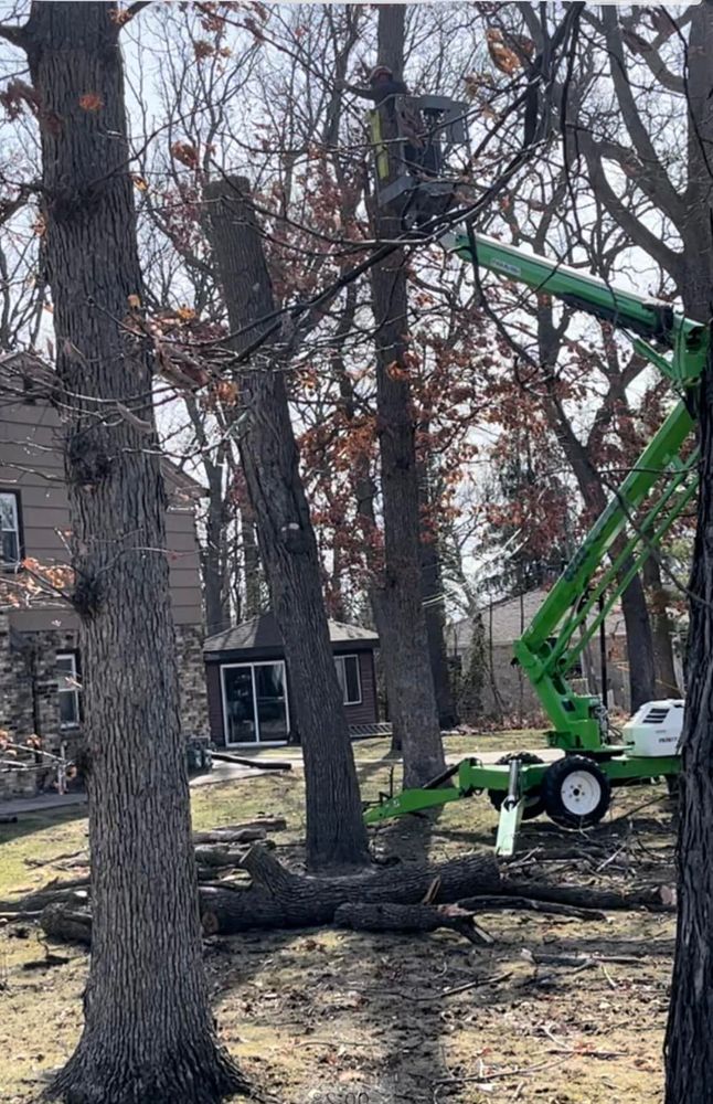 Tree Removal for Oakwood Tree Removal LLC in Oak Creek,  WI