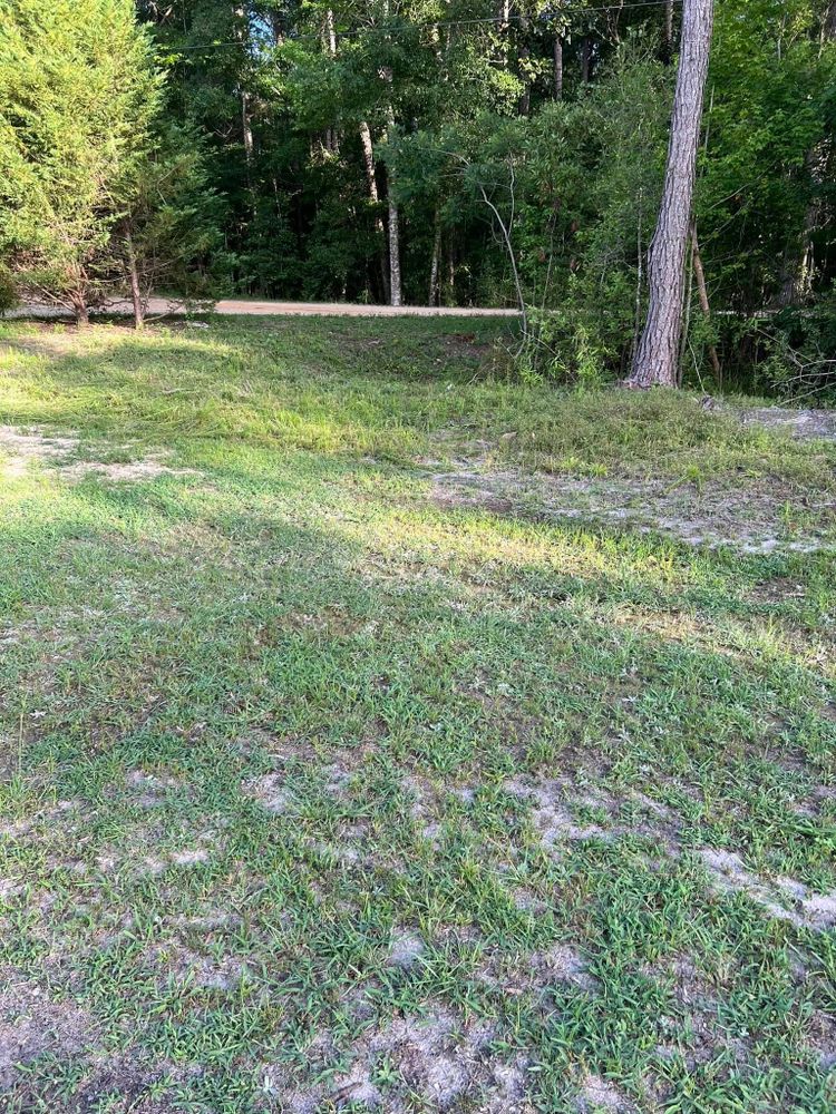 Landscaping for Joseys Lawn and Tree Care in Chipley, FL