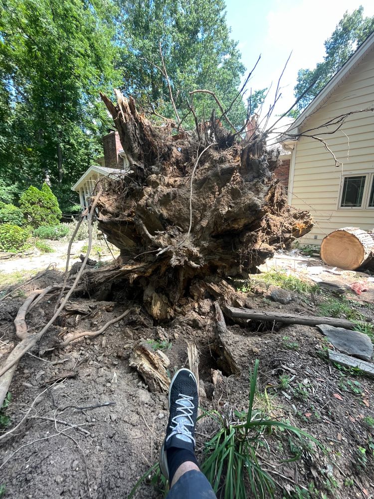 All Photos for Real Deal Lawn Care in Goodlettsville, TN