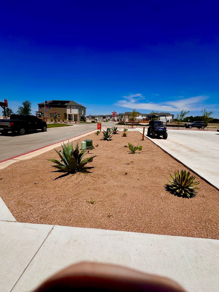 All Photos for Chavira Landscape & Irrigation in Austin, TX