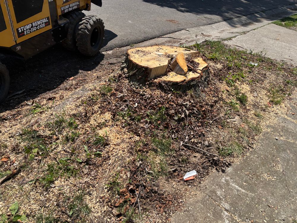 All Photos for Conrad's Stump Removal in Columbus, IN