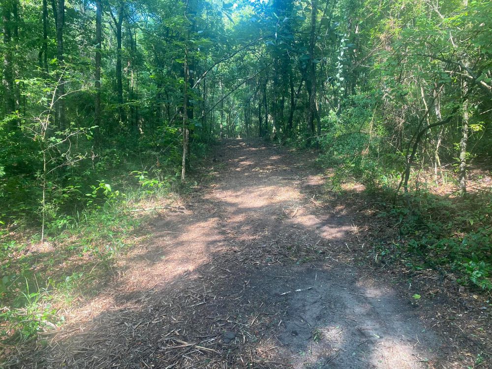 Land Clearing for South Mississippi Land Management LLC in Columbia, Mississippi