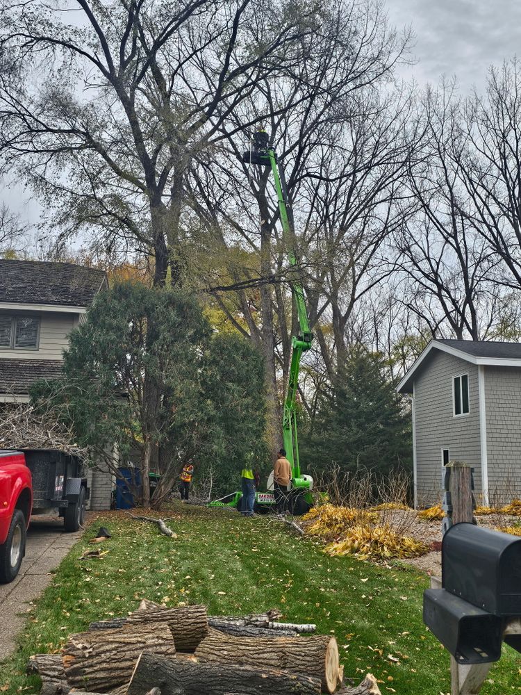 All Photos for Minnesota Seasonal LLC in Corcoran, MN