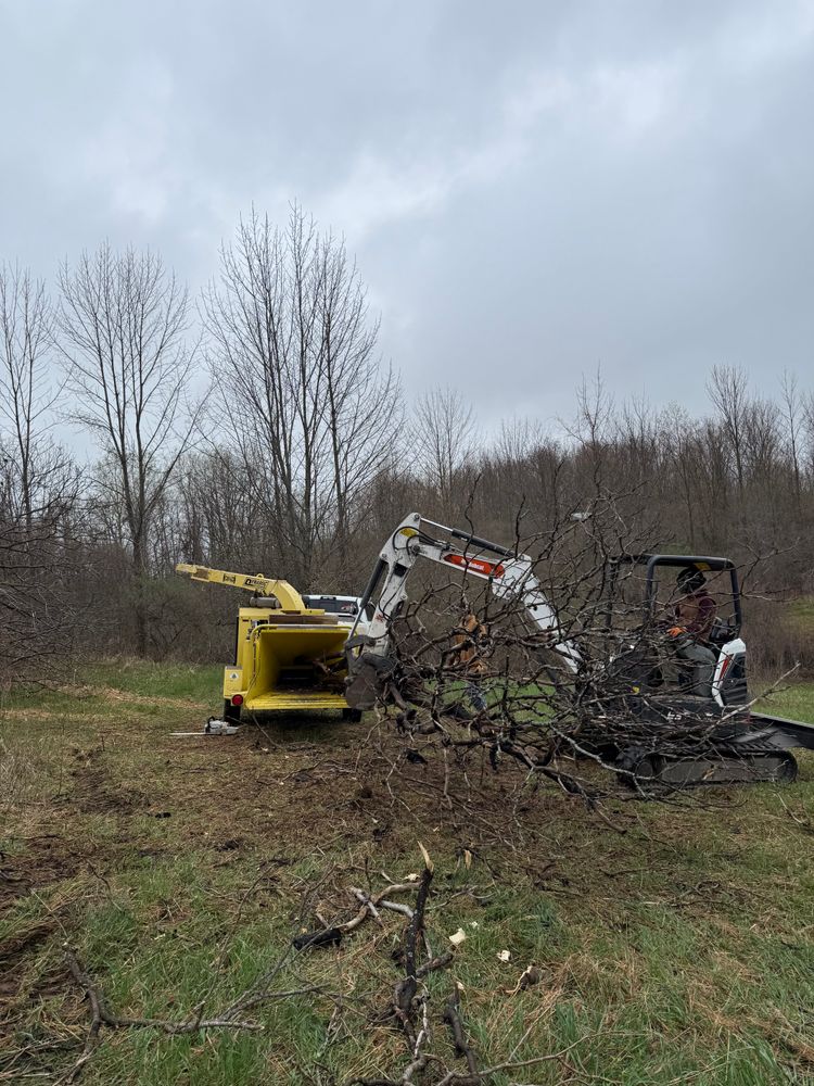All Photos for Sterlings Tree Removal in Cobleskill, New York