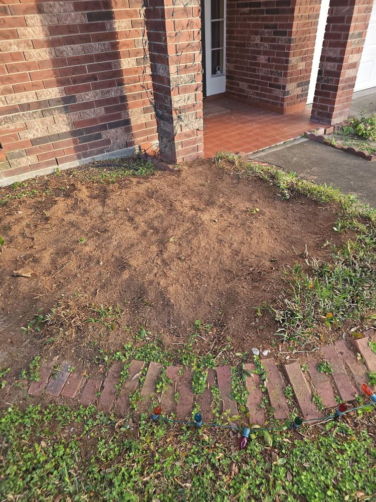 All Photos for Servin's Tree Care  in Houston, TX