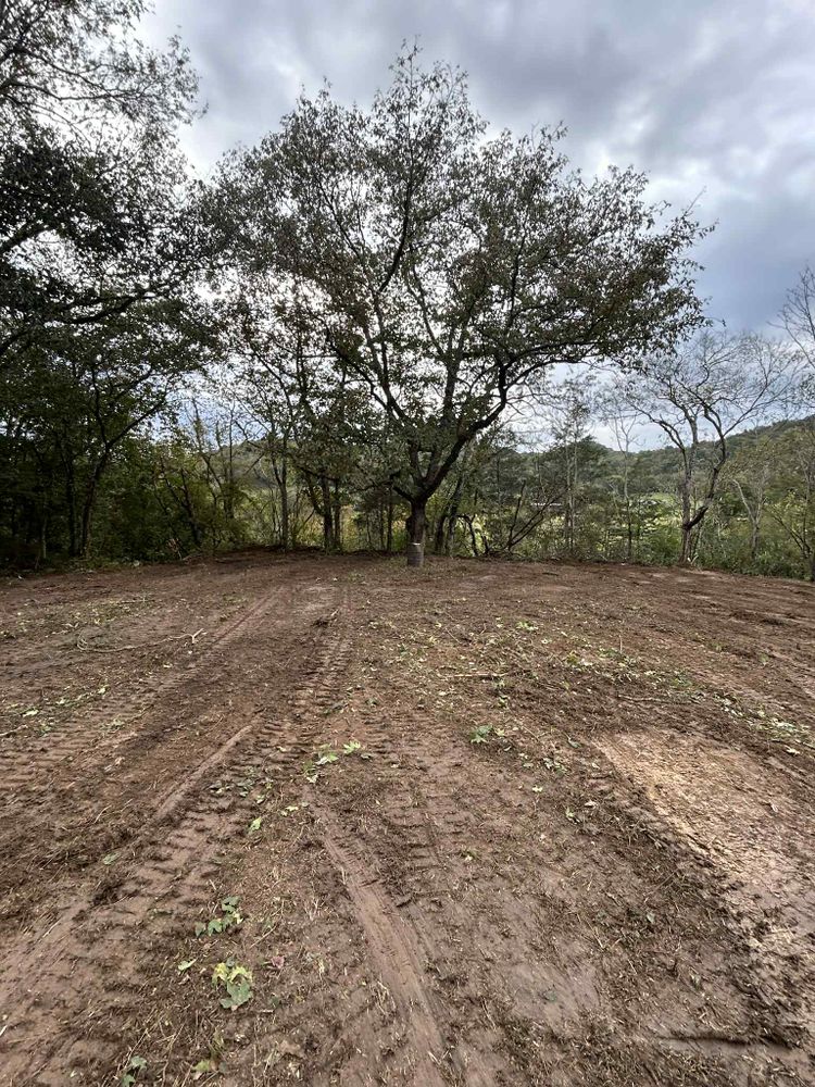 All Photos for Z's Land Management & Forestry Mulching in Smithville, TN