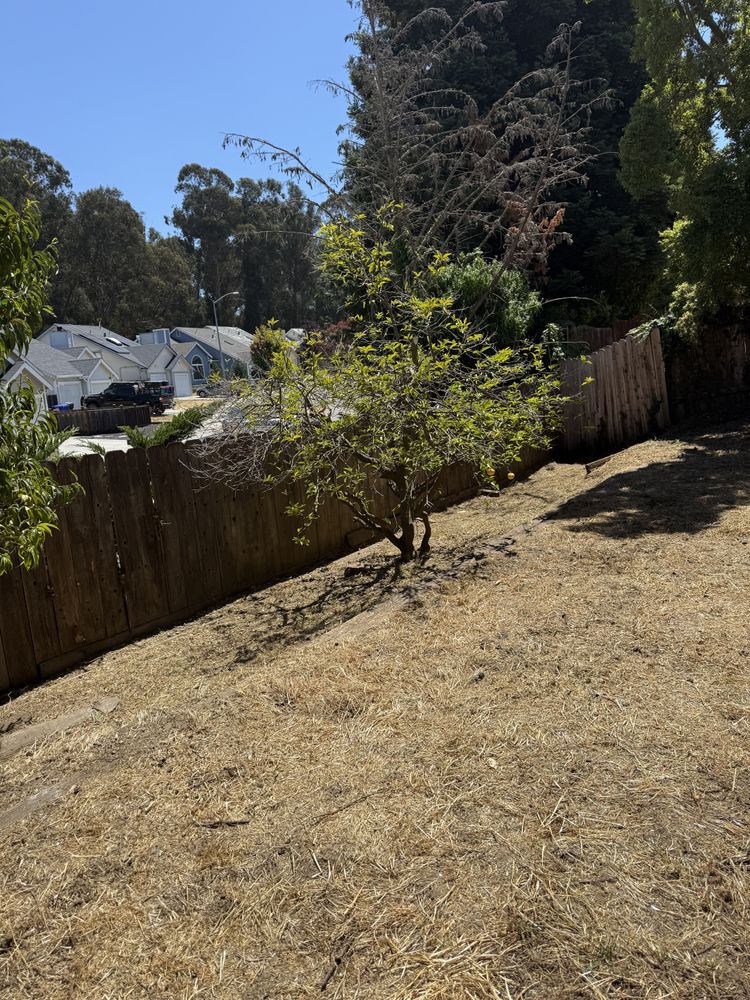 All Photos for CBA Landscaping in Hayward, CA