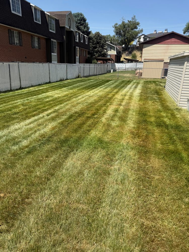 All Photos for Platinum Lawn Service in Santaquin, UT