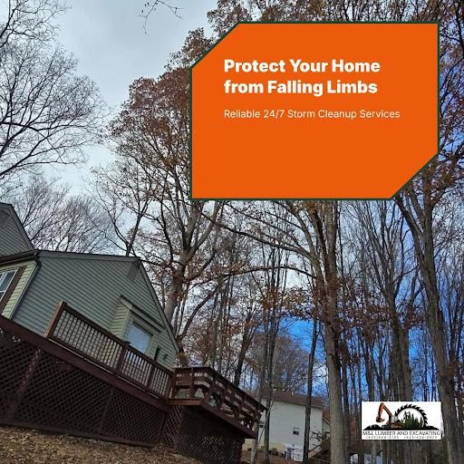 All Photos for M&L Lumber and Excavating in Jonesborough, TN