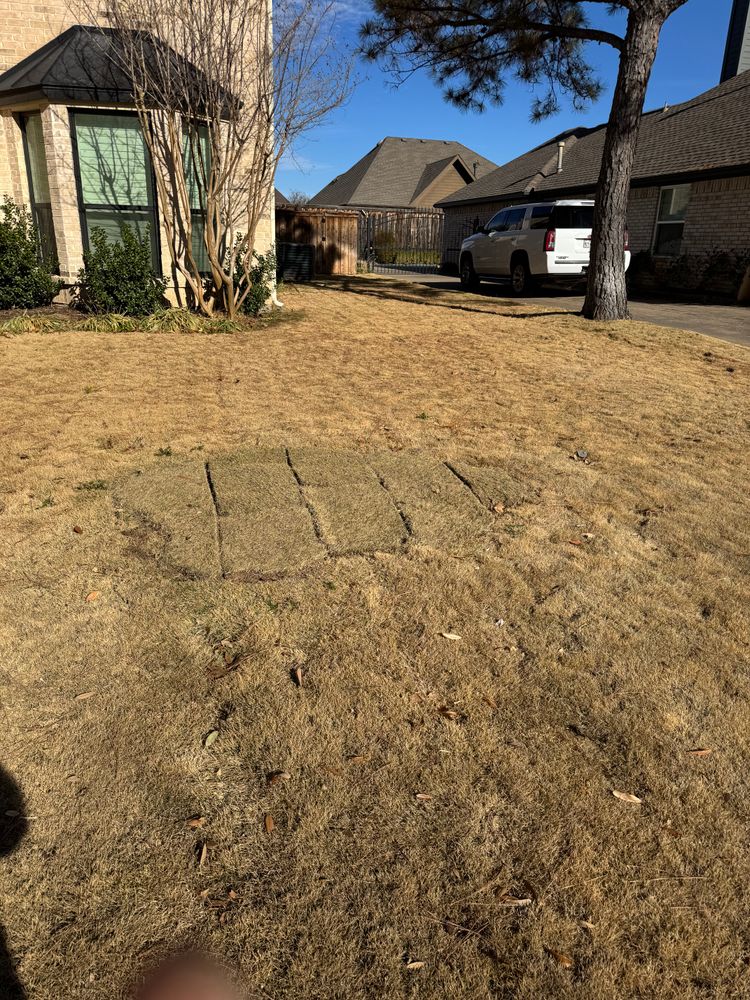 All Photos for Stonewood Outdoor Services in Fort Worth, TX