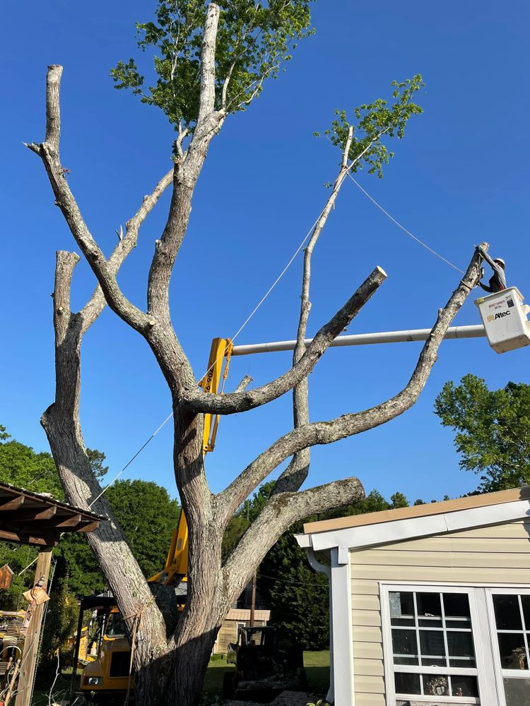 All Photos for ArborMax in Thomaston, GA