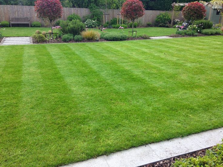 Lawn Care for Adan landscaping 11 inc in Chicago, IL