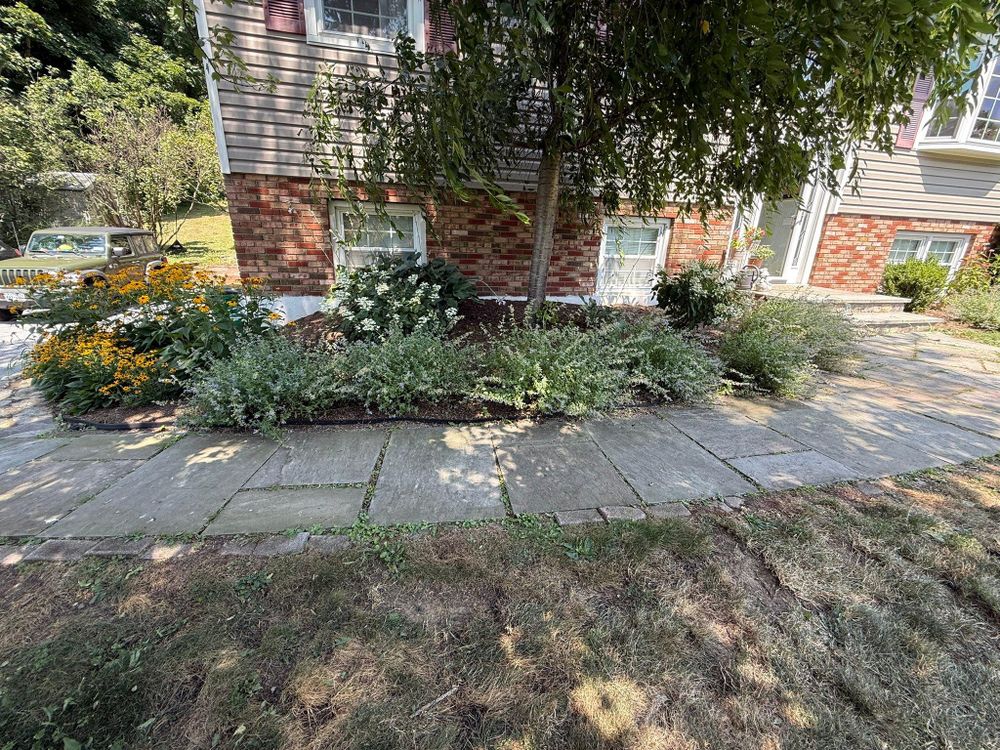 All Photos for Ardisi Property Maintenance LLC in Poughkeepsie, NY 