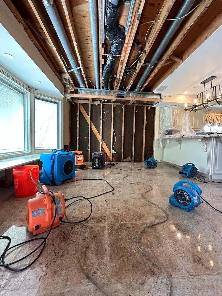 All Photos for CertaClean Restoration in Yonkers, NY