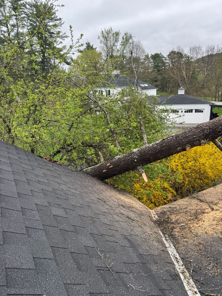 All Photos for Clifford’s Quality Tree Care & Landscaping in Enfield, NH