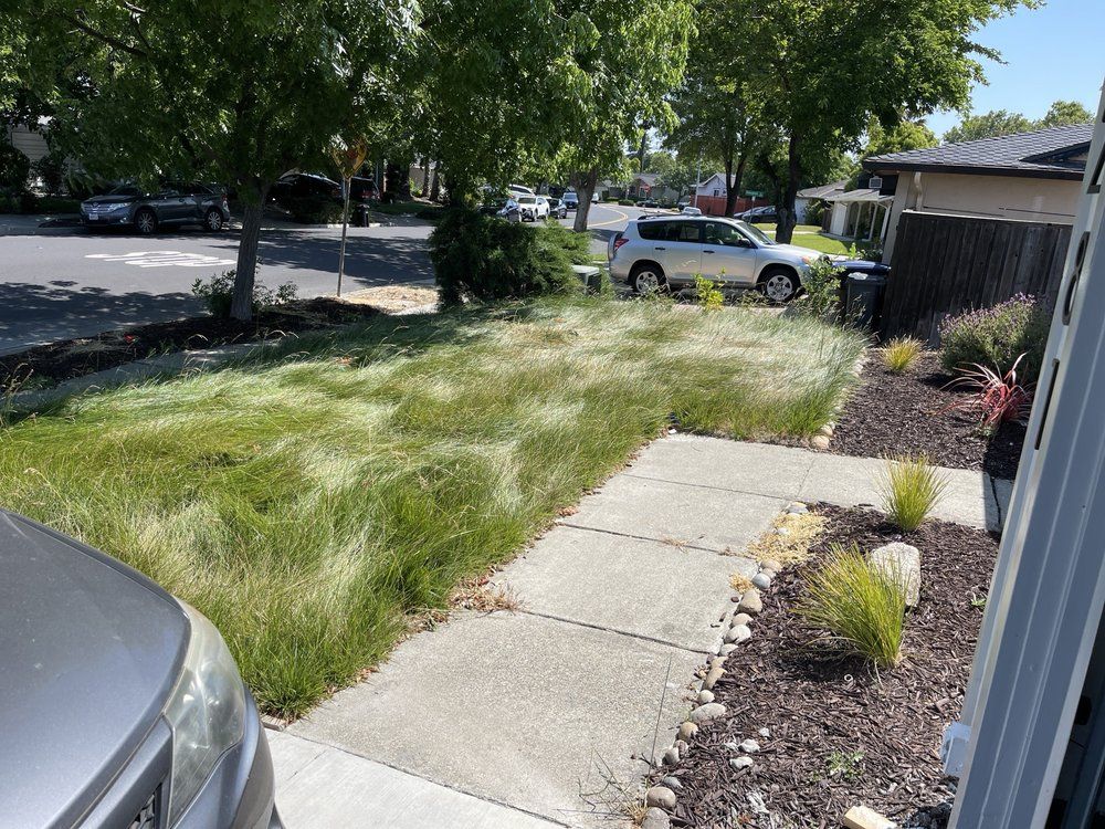 Lawn Care for CBA Landscaping in Hayward, CA