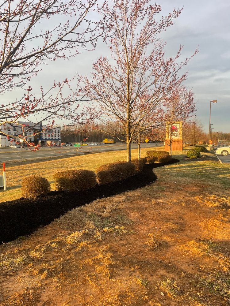 Landscaping for Chiles Lawn & Landscaping in Gordonsville, VA