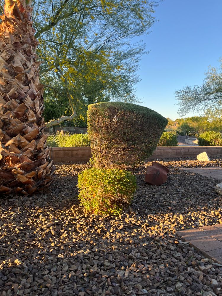All Photos for Grand Canyon State Landscape Inc. in Surprise, AZ