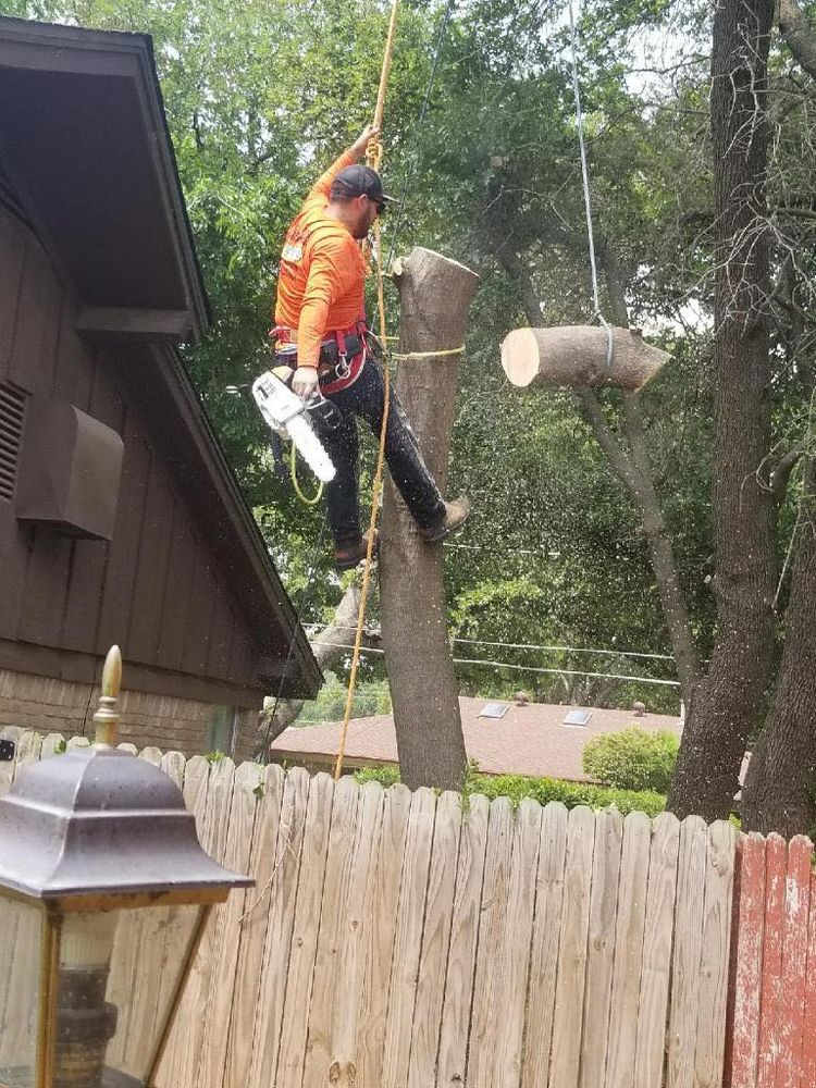 Muniz Tree Service team in North Richland Hills, TX - people or person
