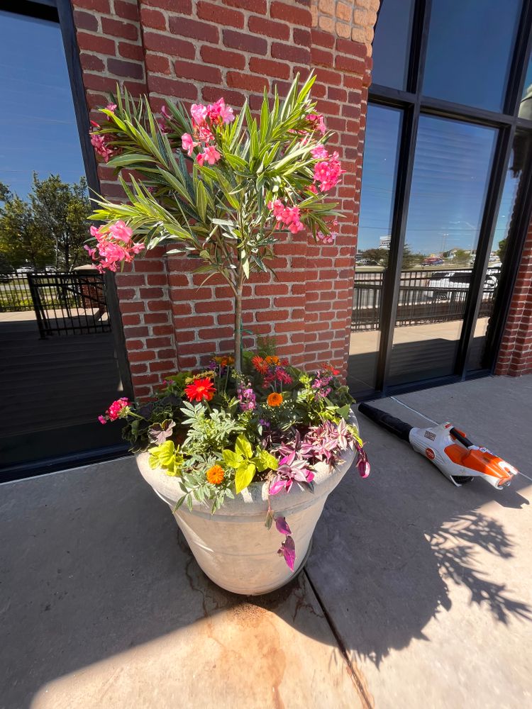 Seasonal Color for Urban Lawn & Landscape in Oklahoma City, OK