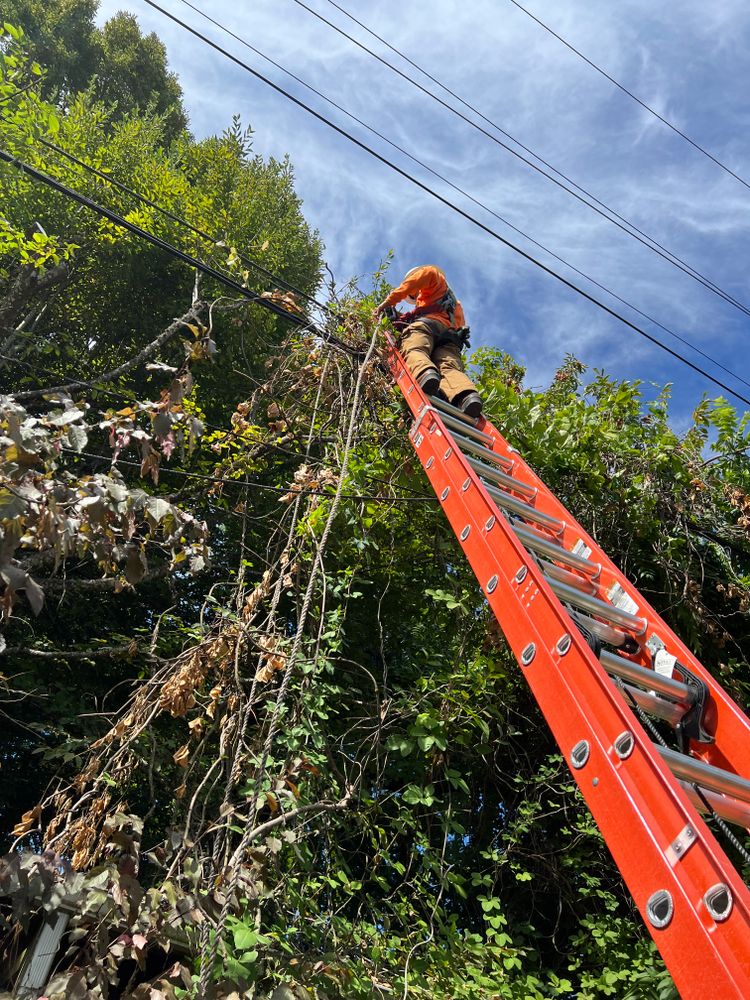 All Photos for Hammons Construction LLC in Eugene, OR