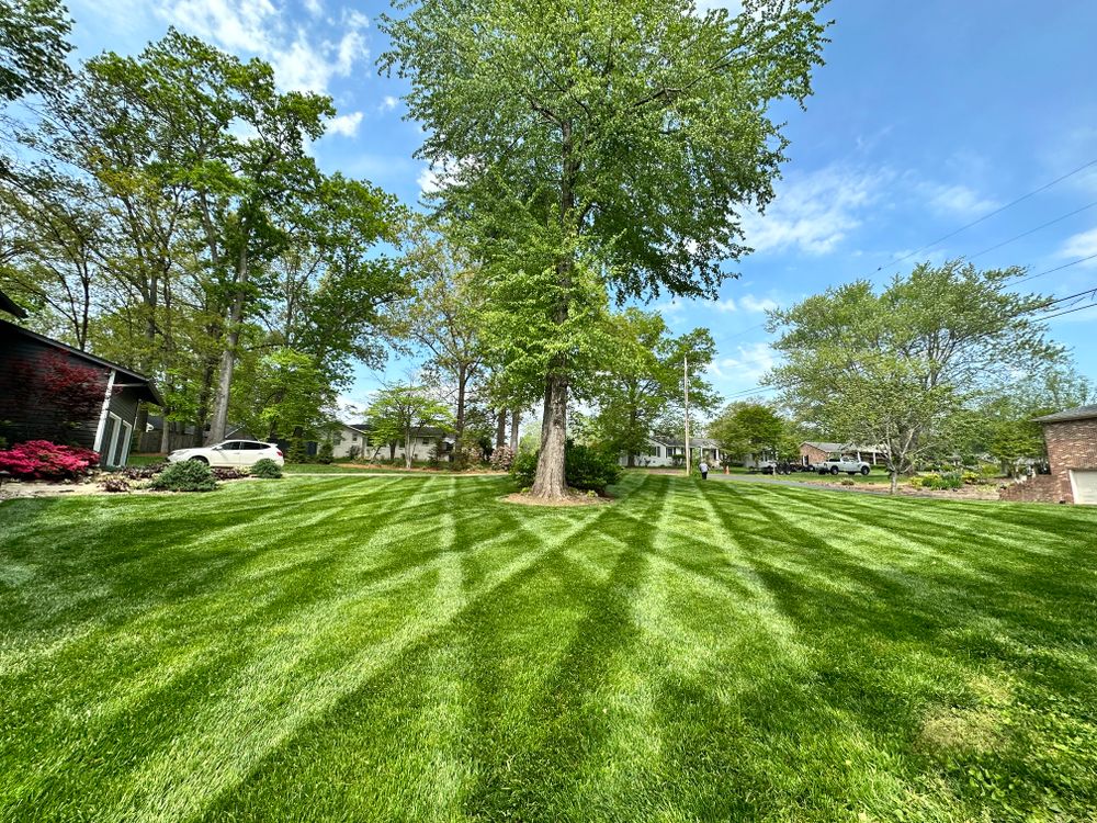 All Photos for Fenix Lawn Care in Cookeville, TN