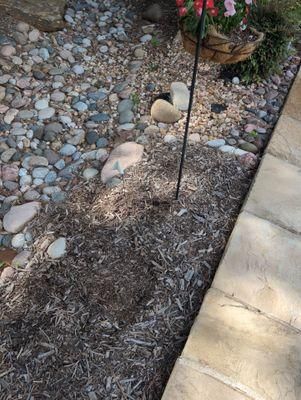All Photos for Toppers Wildlife Removal in Garland, TX