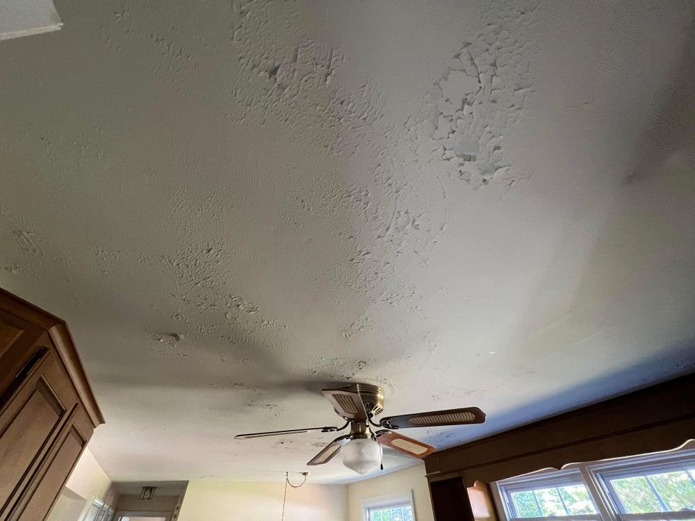 All Photos for Suter & Sons Painting in Amherst, Western Massachusetts