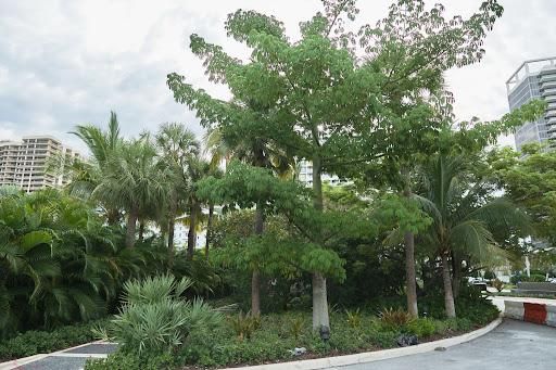 All Photos for Arazoza Brothers Corporation in Miami, FL