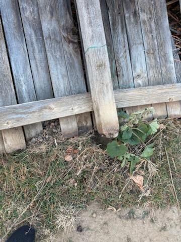 All Photos for Berry Handy Services in Loveland, CO