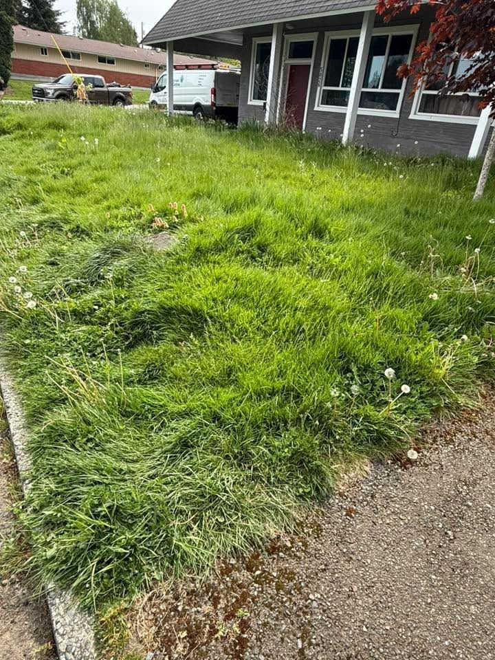 All Photos for B.U Landscaping in Everett, WA