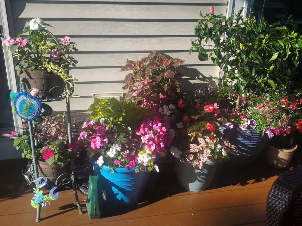 All Photos for Evolution Earthscapes, LLC in Ludlow, MA